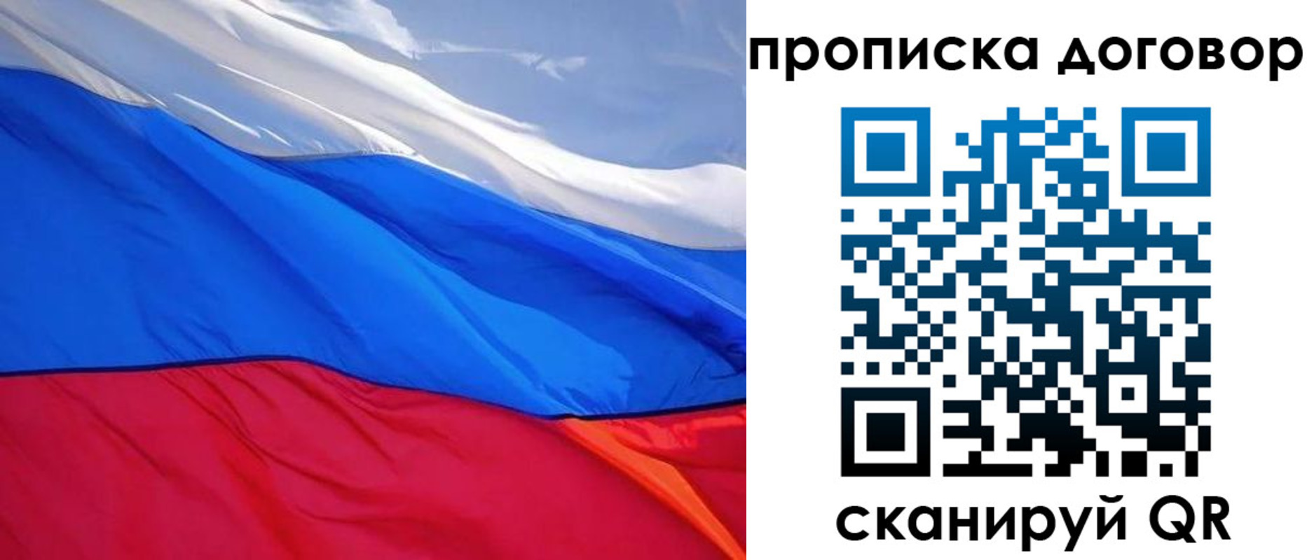 прописка гарантия в Светлом