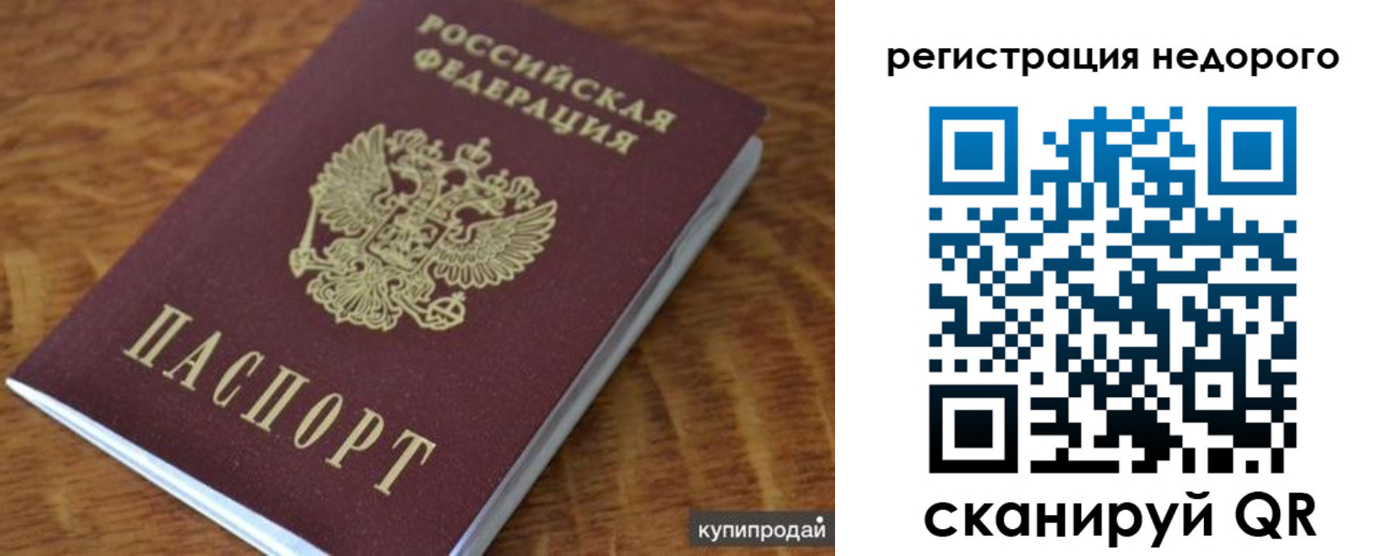 прописка иностранных граждан в Светлом